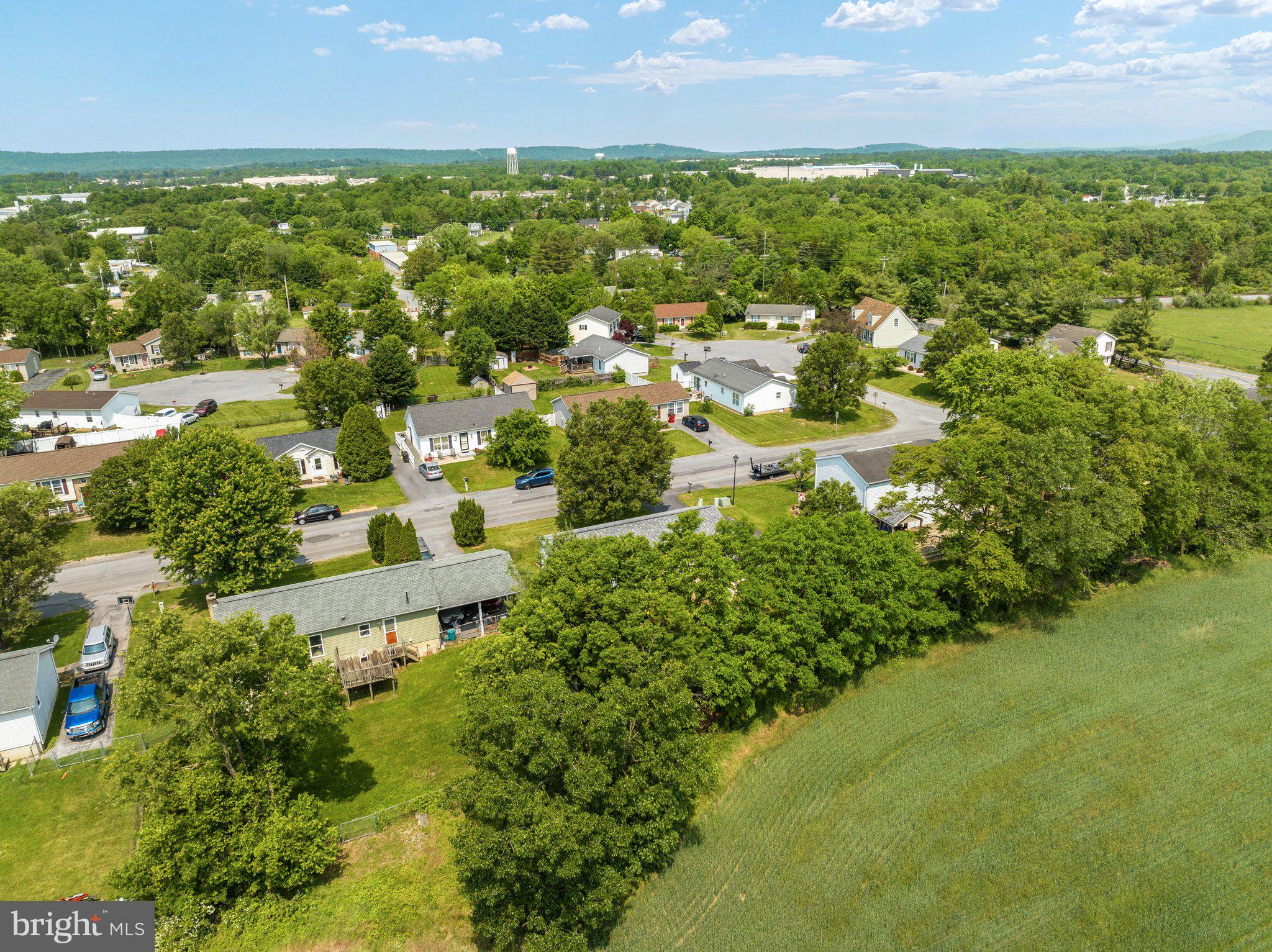 SPRINGFIELD VILLAGE - Residential