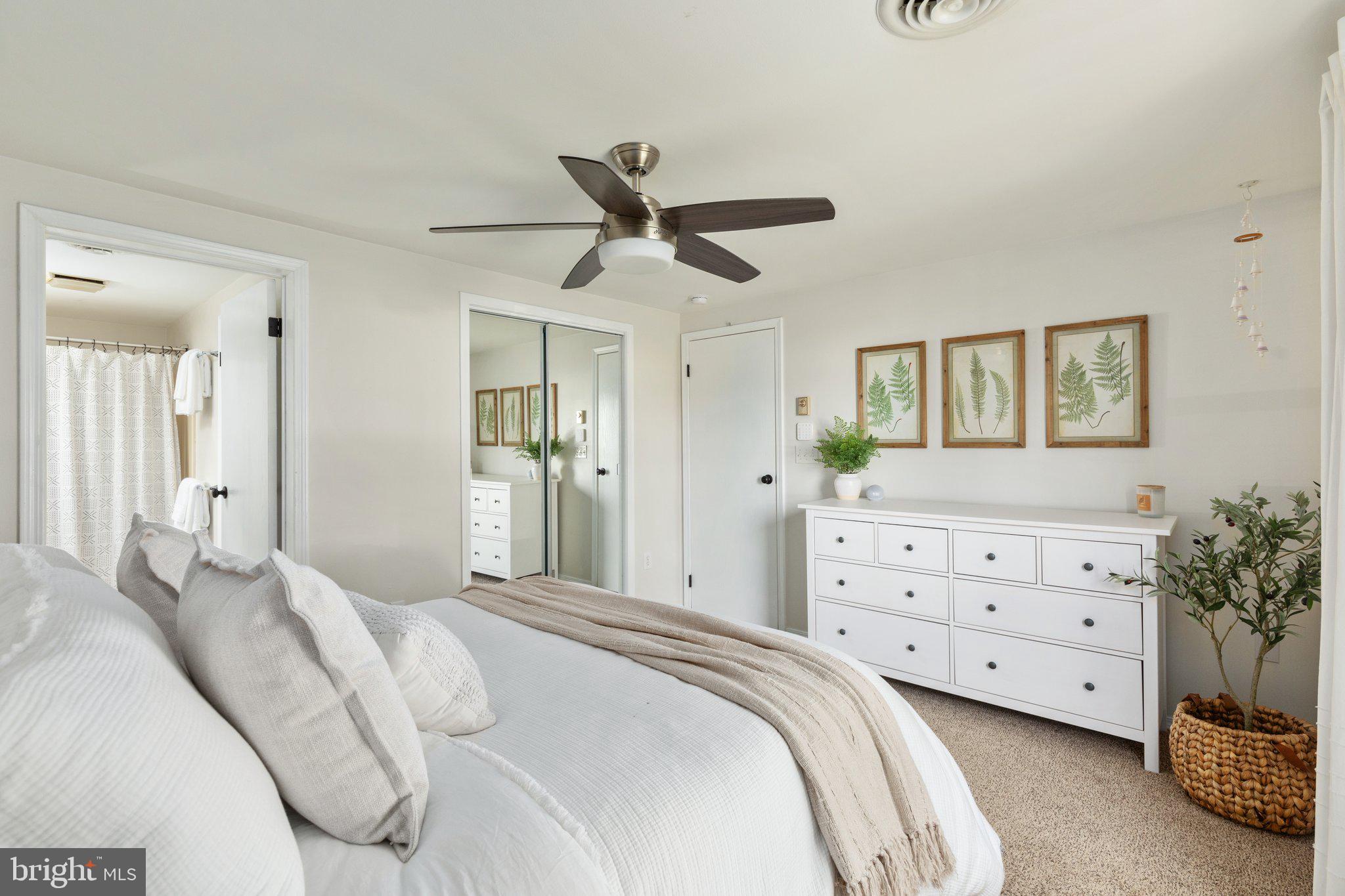 SPRINGFIELD VILLAGE - Residential