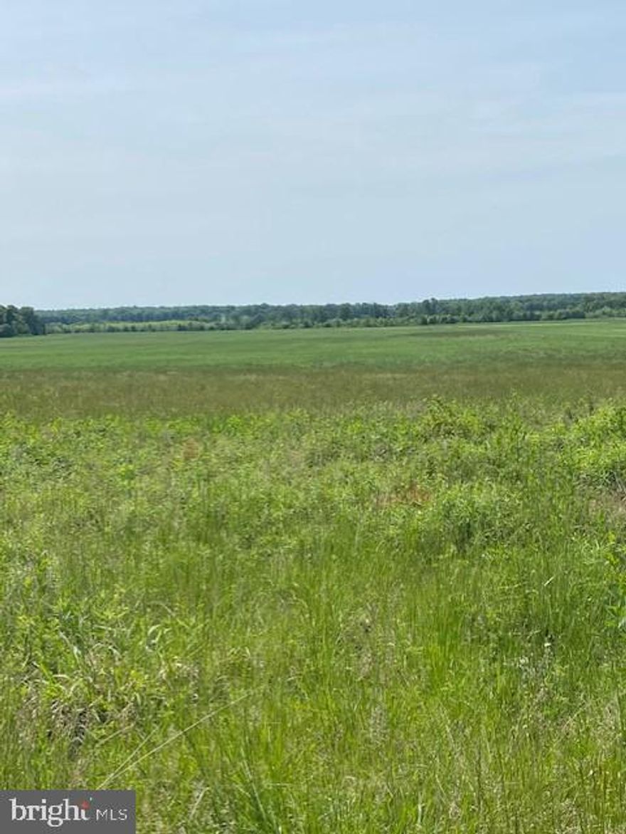 This first time offering holds 2 parcels with almost 400 acres. Frontage on Rappahanock River, Lots of history,  mostly open land with some woods. Property is in Easements.  Documents are uploaded under docs. Please call to make appointment to show. You cannot sub divide any other lots but is currently in 2 seperate lots.  Each lot can build 1 house.  All restrictions are in documents. Property has 2 homes on it