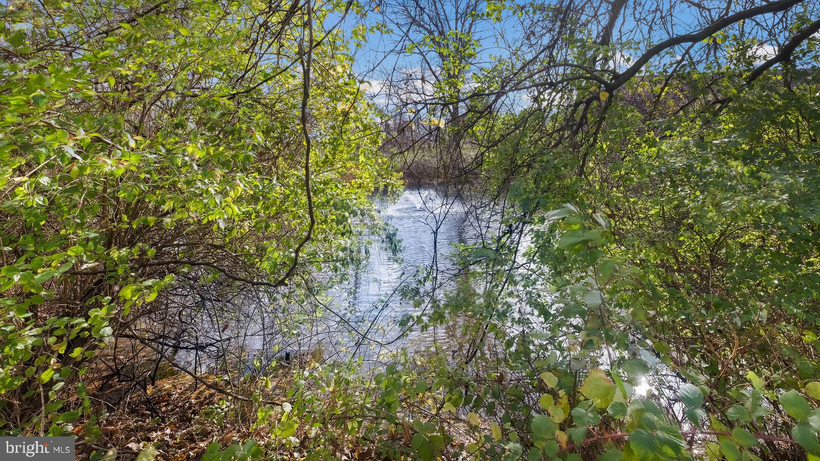 OXFORD OF BLUE BELL - Residential