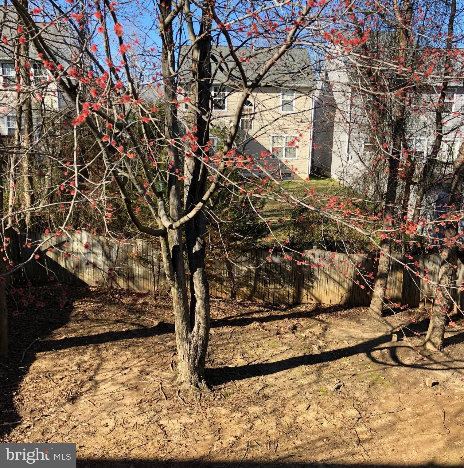 PARK RIDGE - Residential