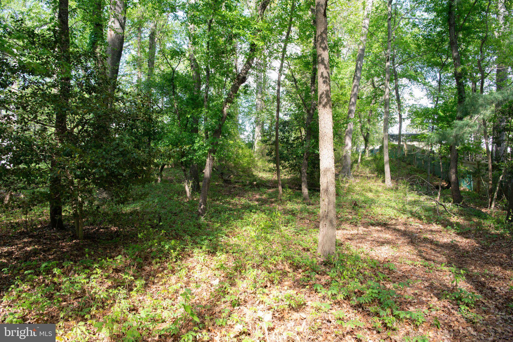 LONG POINT ON THE MAGOTHY - Residential