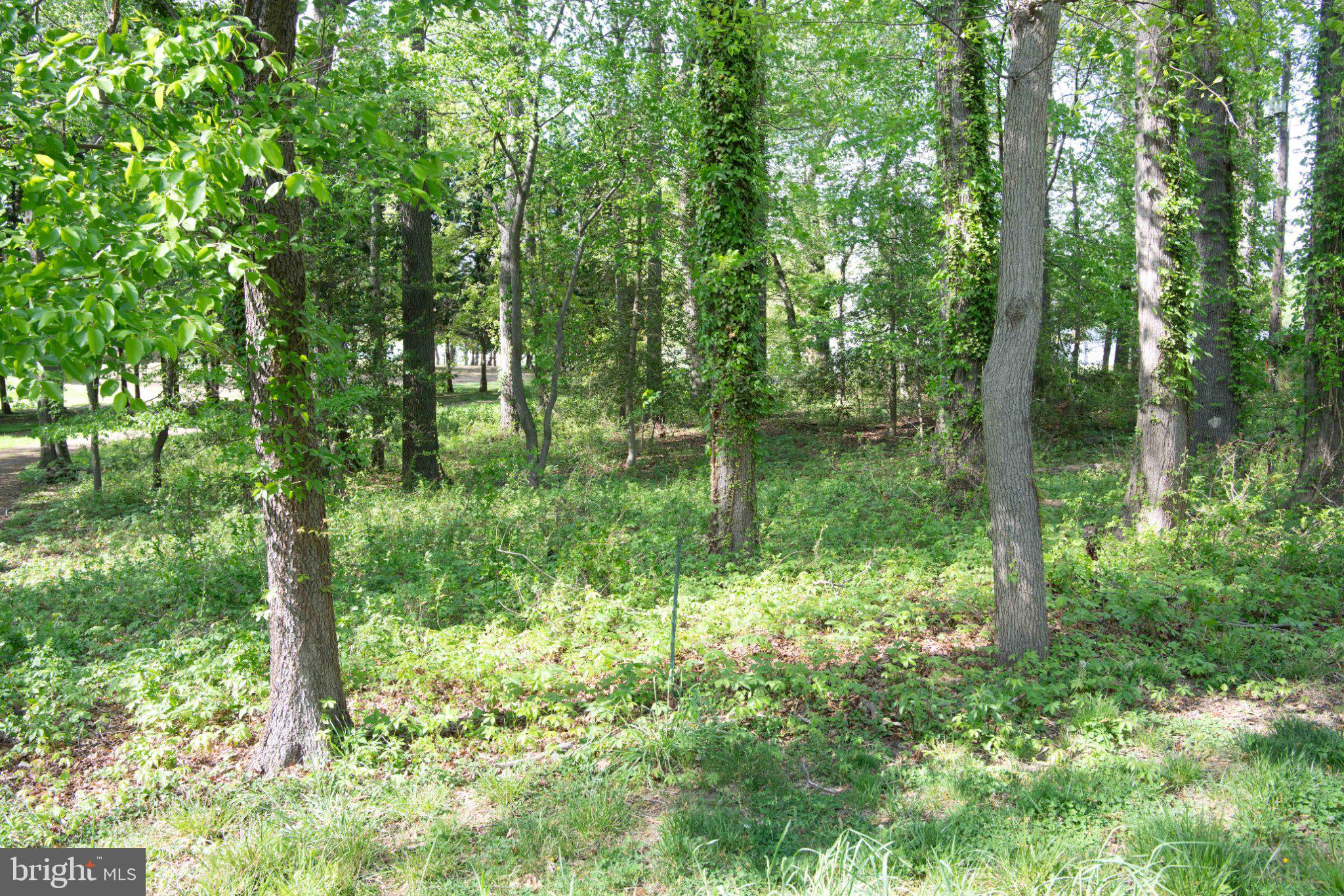 LONG POINT ON THE MAGOTHY - Residential