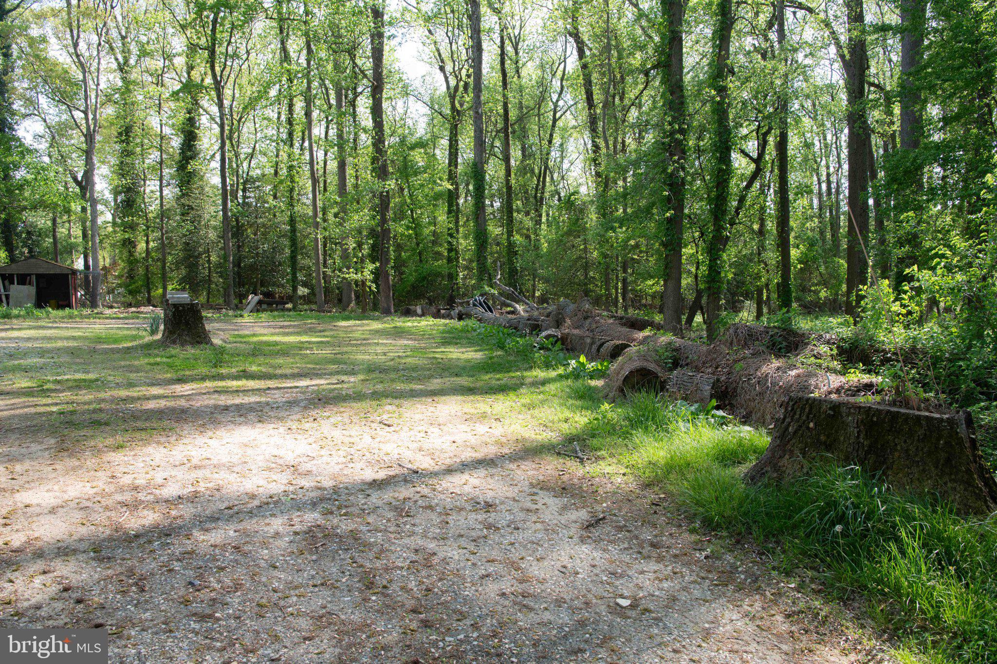 LONG POINT ON THE MAGOTHY - Residential
