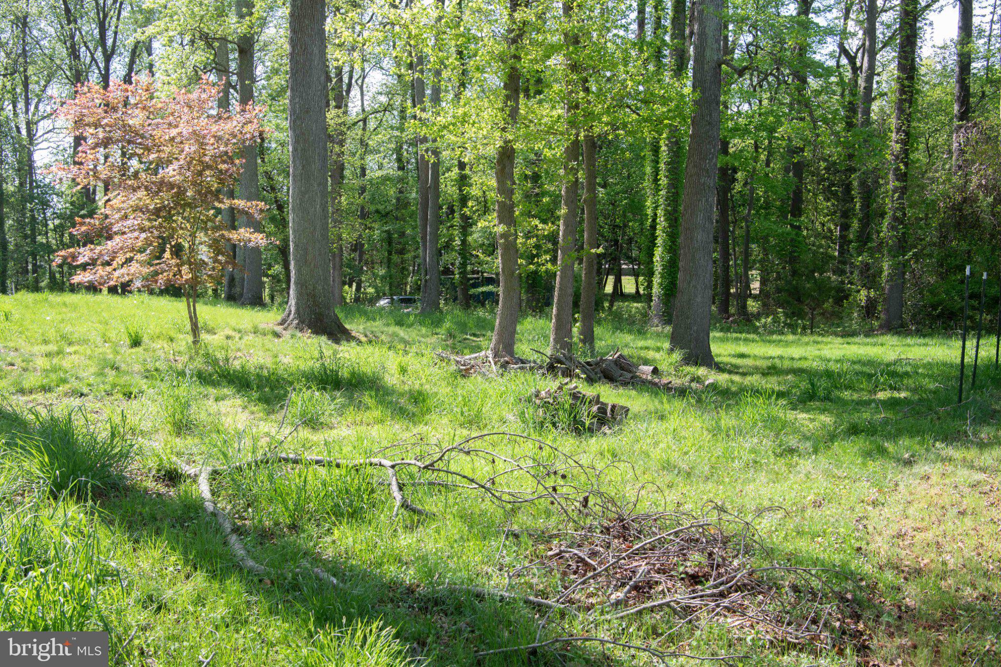 LONG POINT ON THE MAGOTHY - Residential