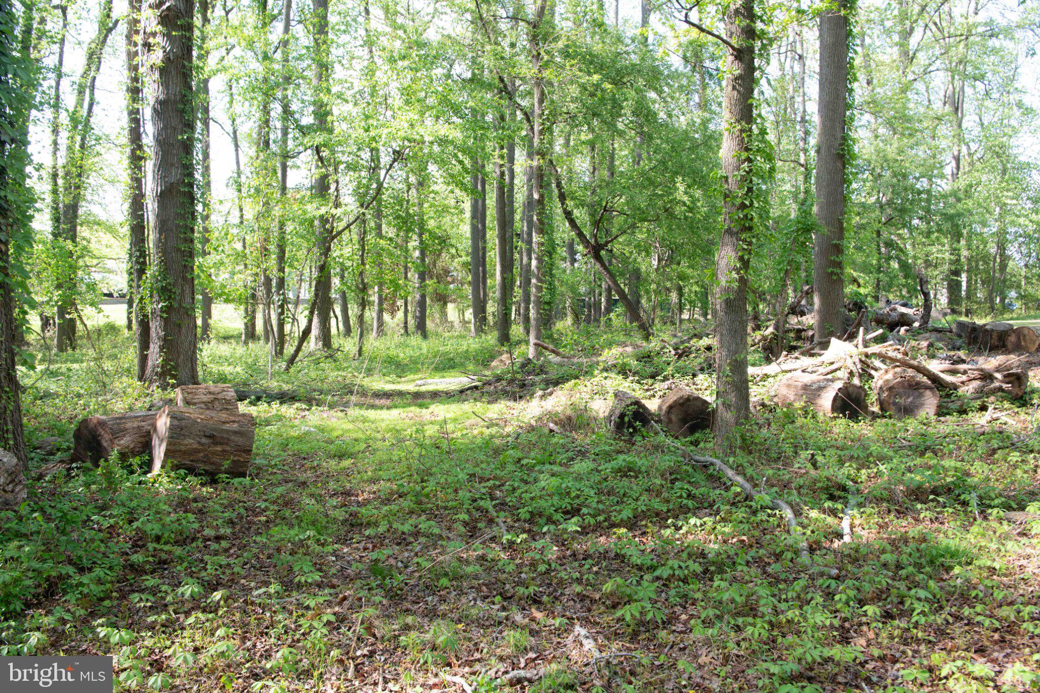 LONG POINT ON THE MAGOTHY - Residential