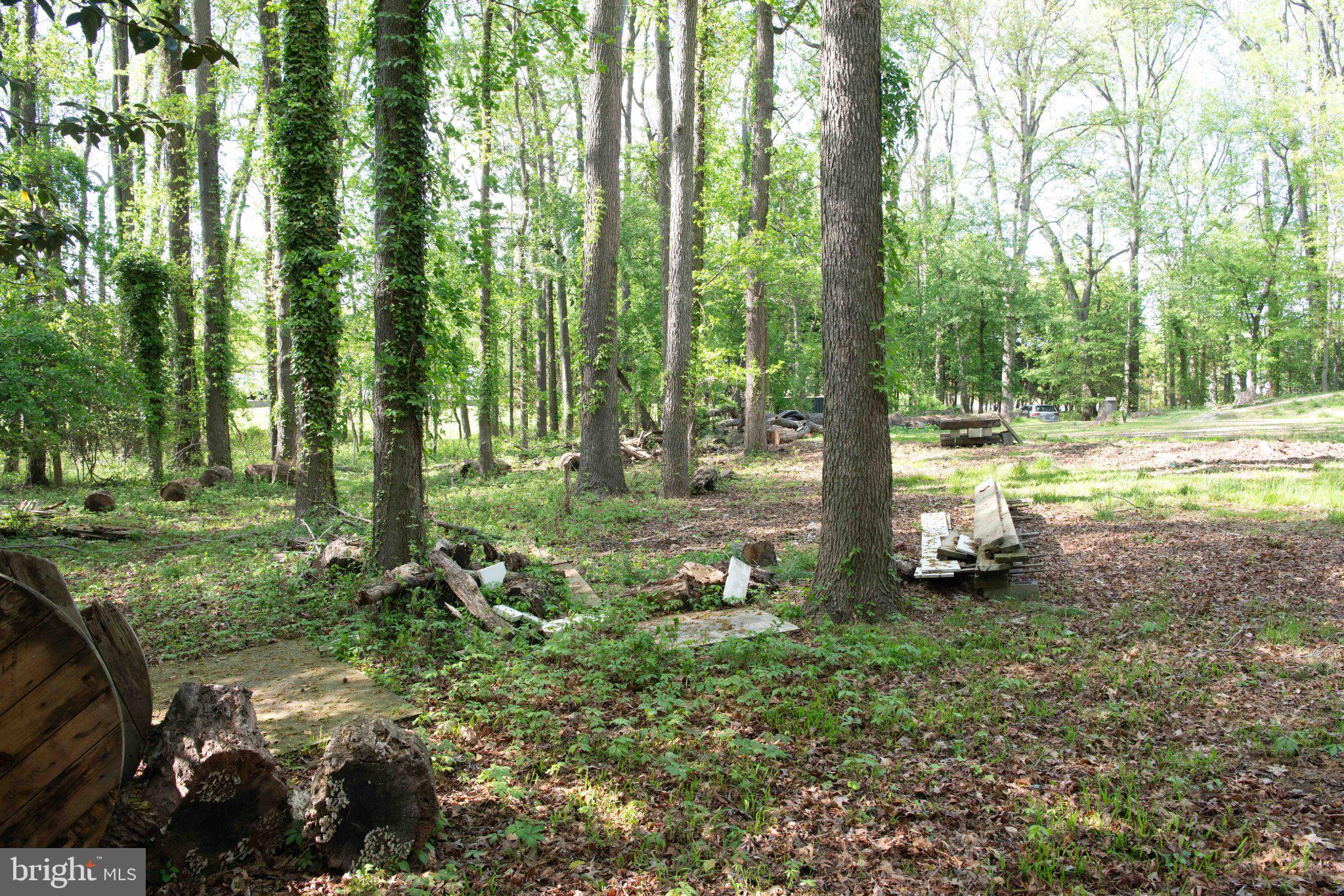 LONG POINT ON THE MAGOTHY - Residential