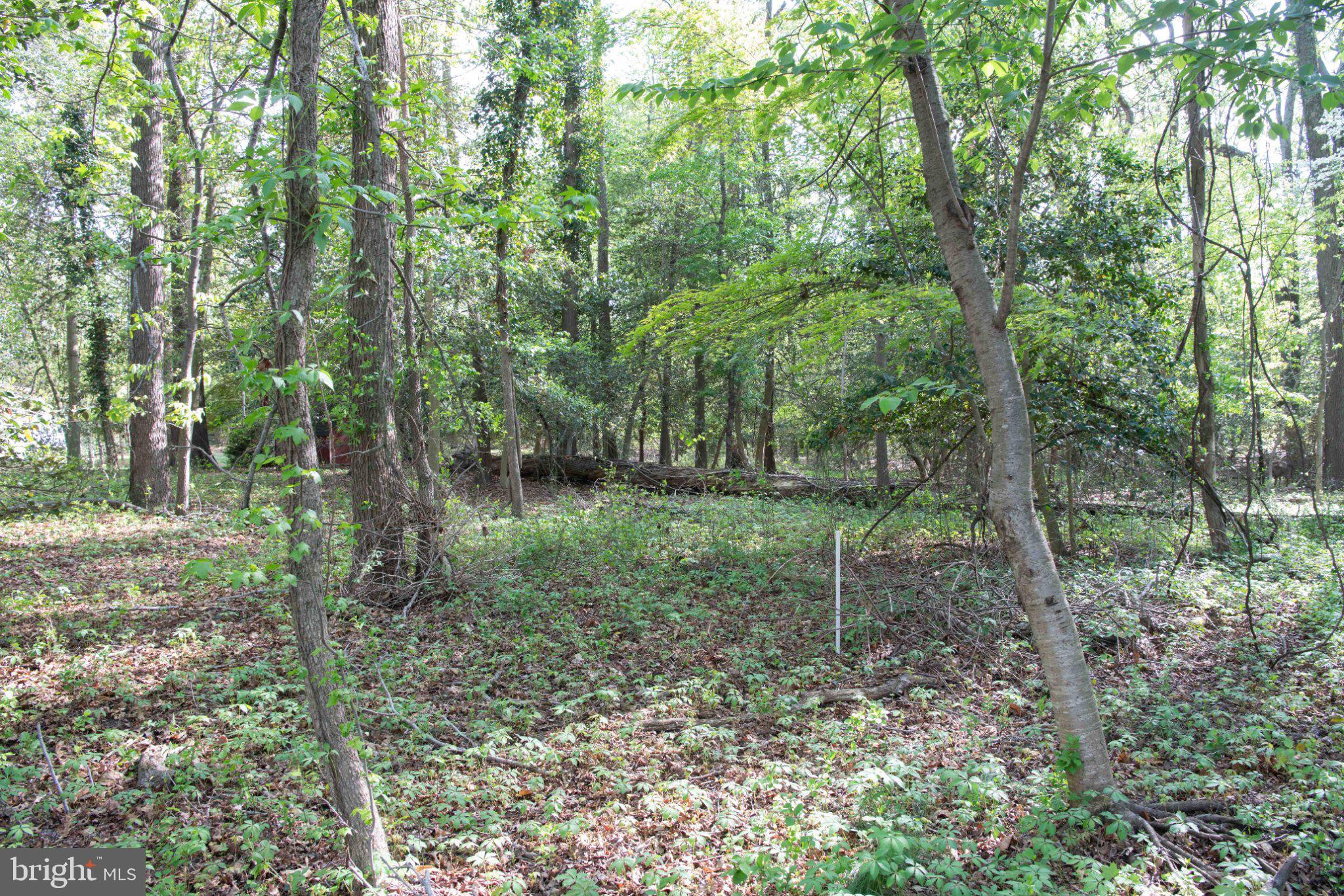 LONG POINT ON THE MAGOTHY - Residential