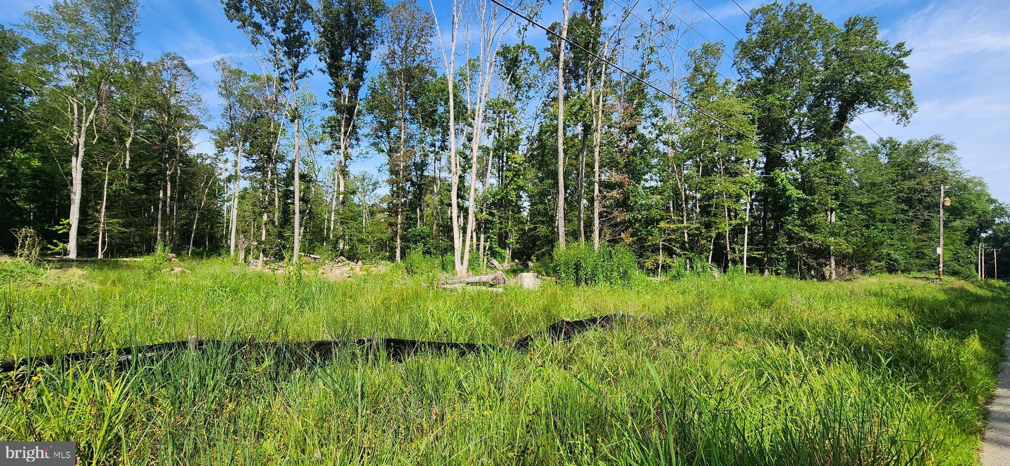 MILLERS HILL - Land