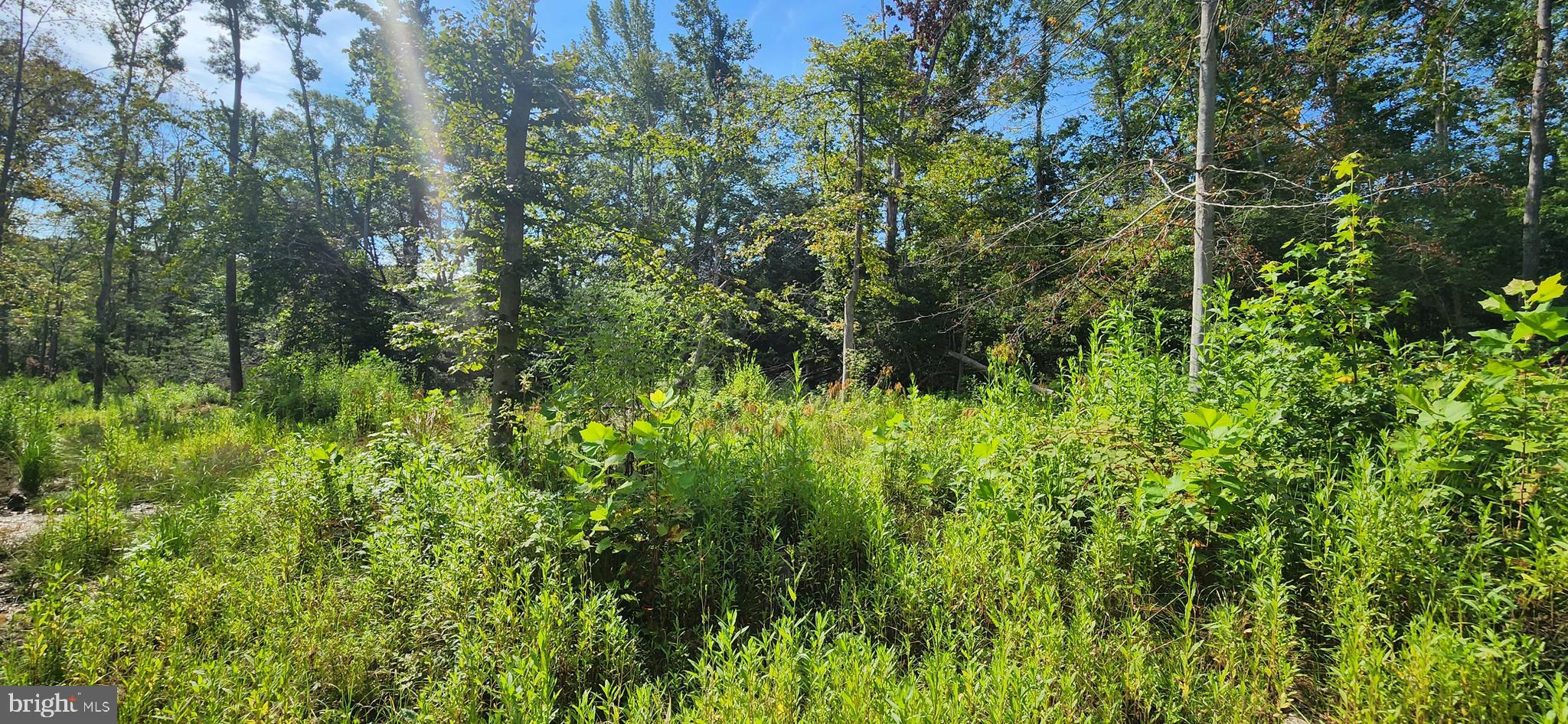MILLERS HILL - Land