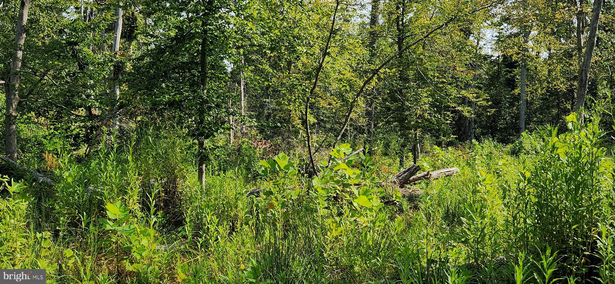 MILLERS HILL - Land