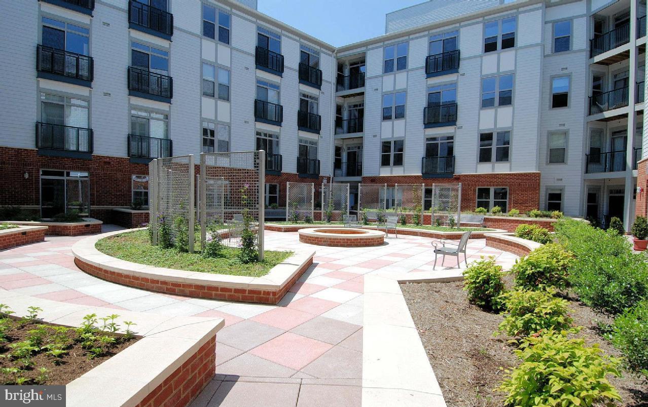 1800 WILSON - Residential Lease