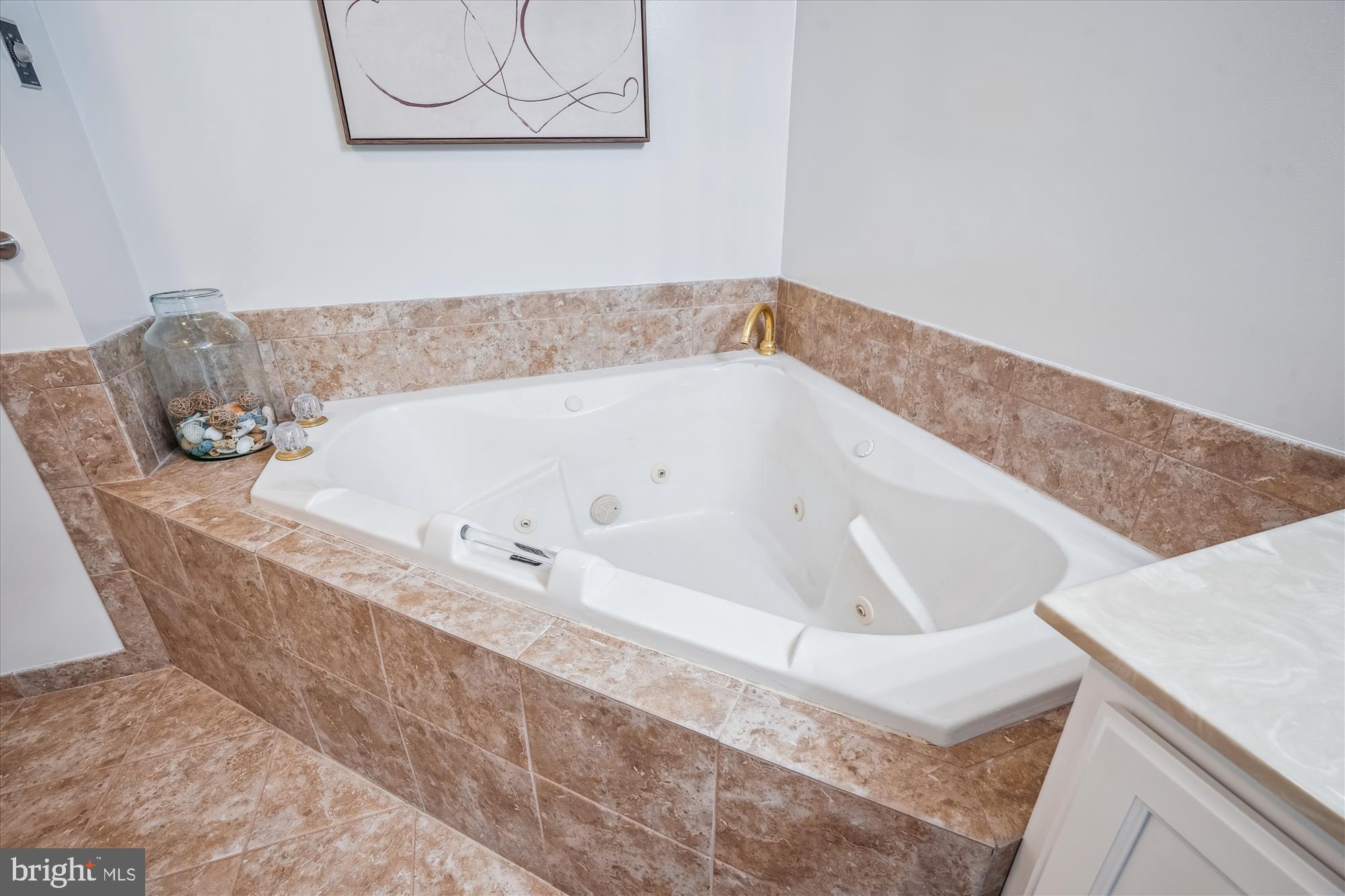 VILLAGE OF DORSEY SEARCH - Residential