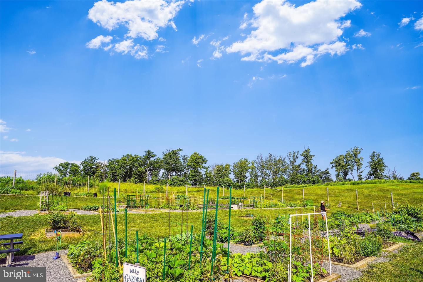 POTOMAC SHORES - Residential