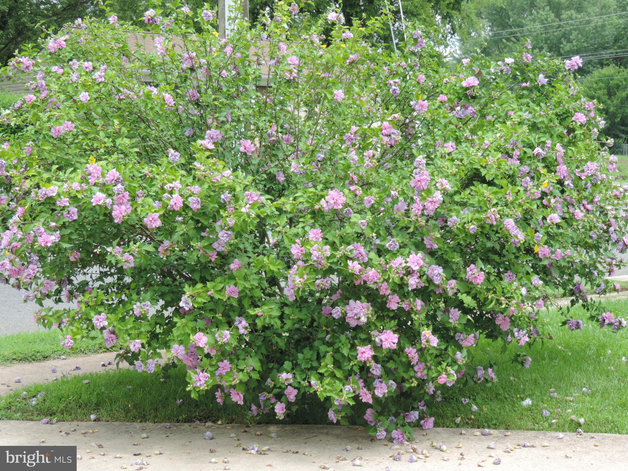 LOCH LOMOND/WEST GATE - Residential