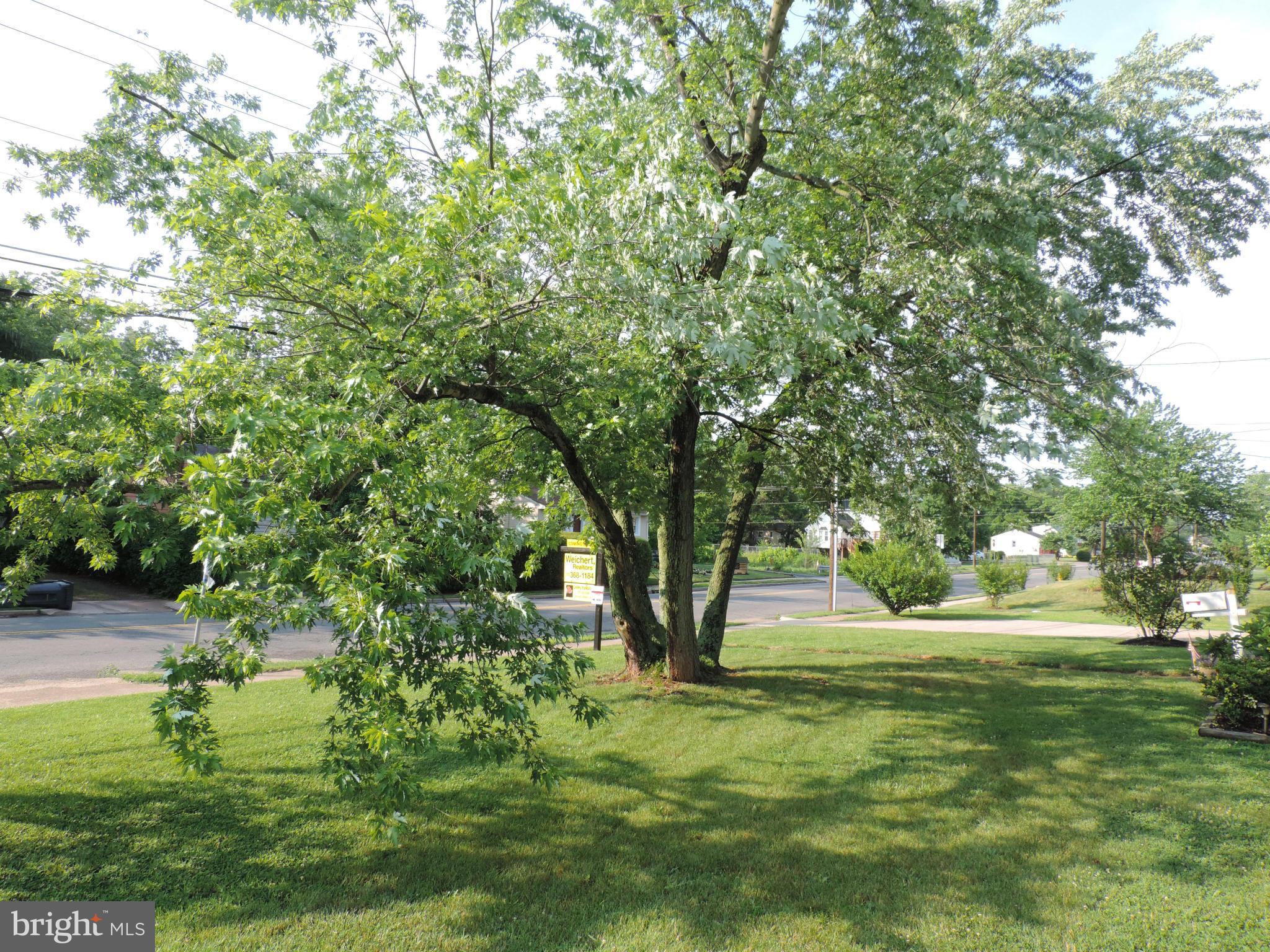 LOCH LOMOND/WEST GATE - Residential