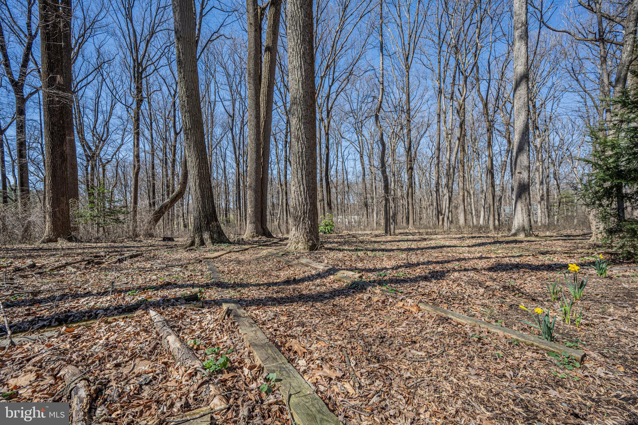 STRATTON WOODS - Residential