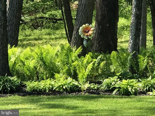 NORTH HAVEN - Residential