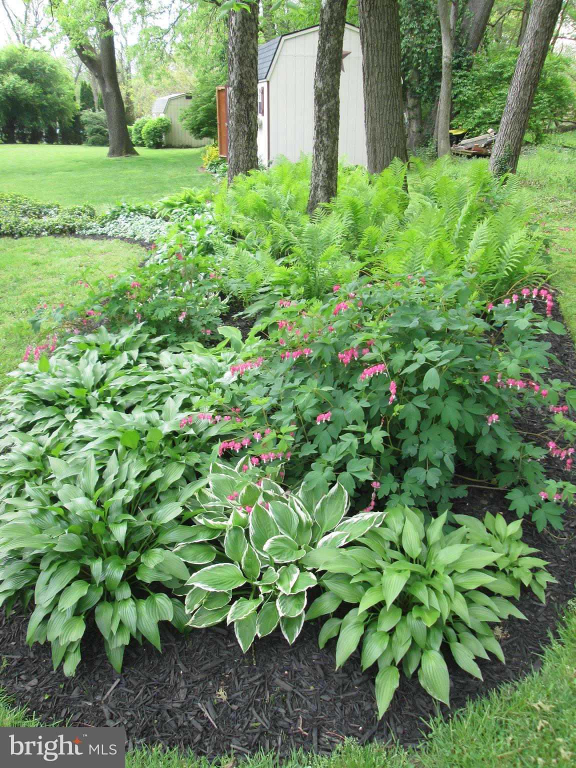 NORTH HAVEN - Residential