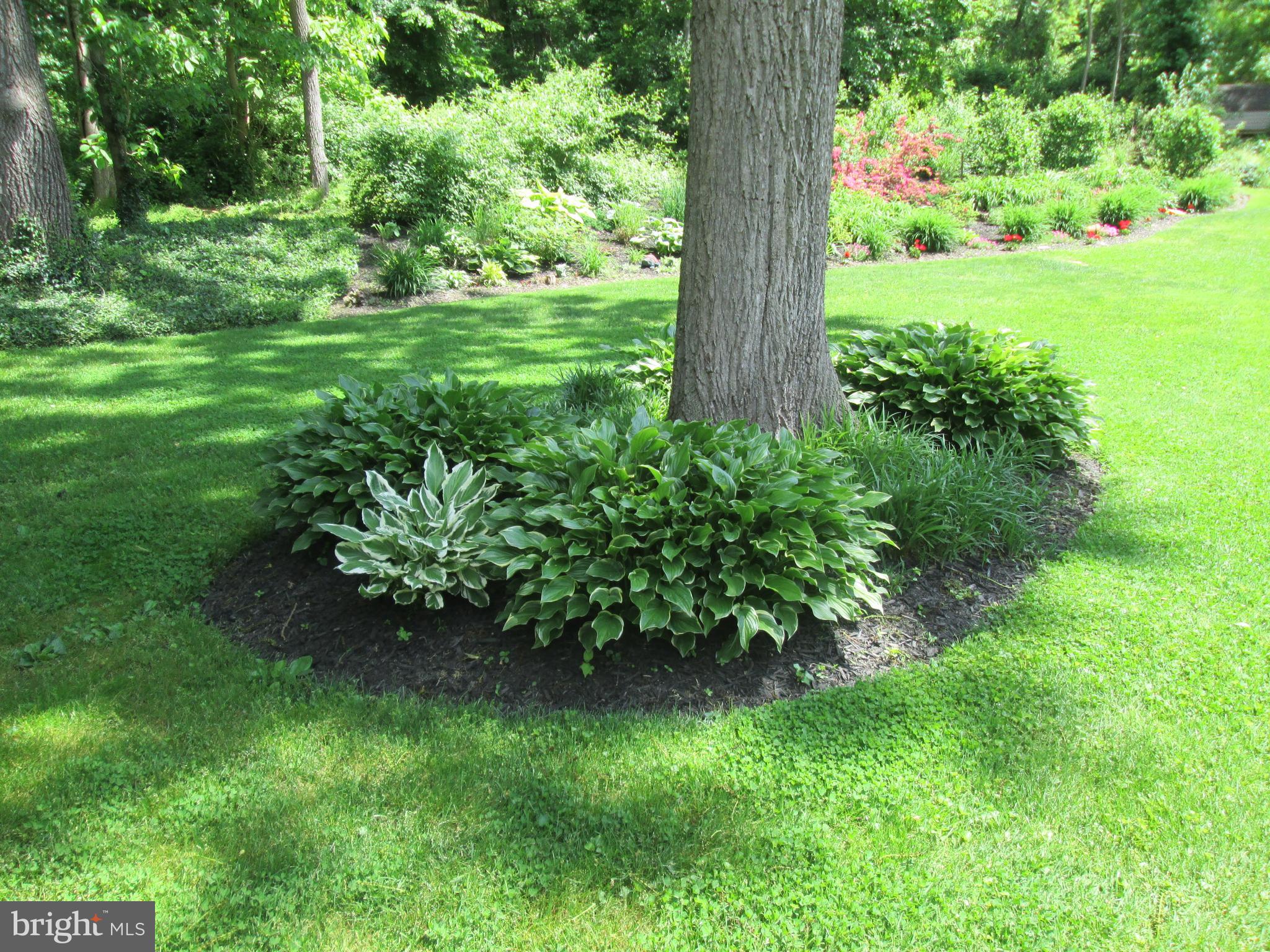 NORTH HAVEN - Residential