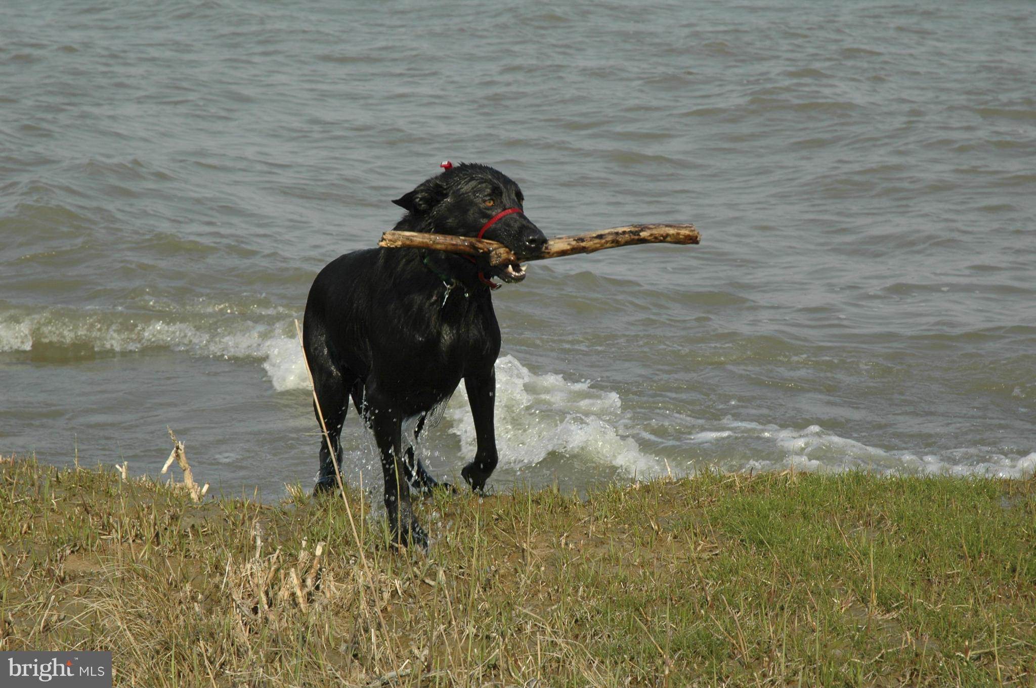 FRANKLIN MANOR BEACH - Residential