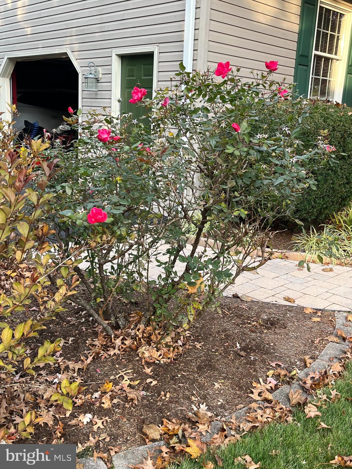 FORGE HILLS - Residential