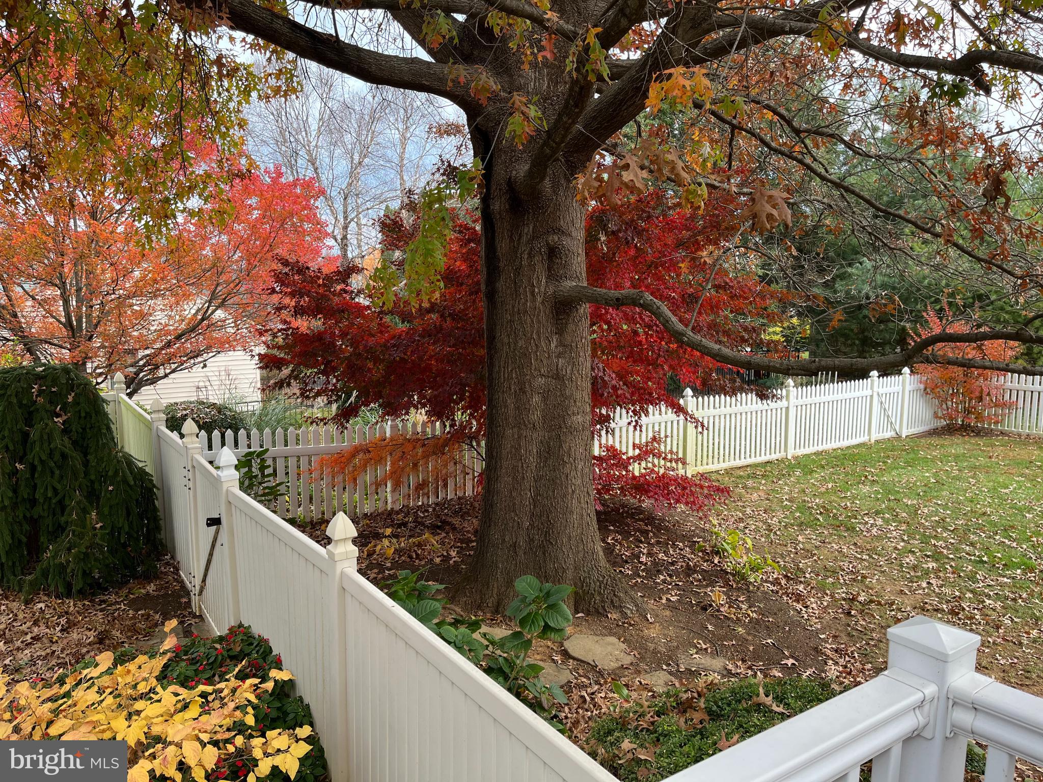 FORGE HILLS - Residential