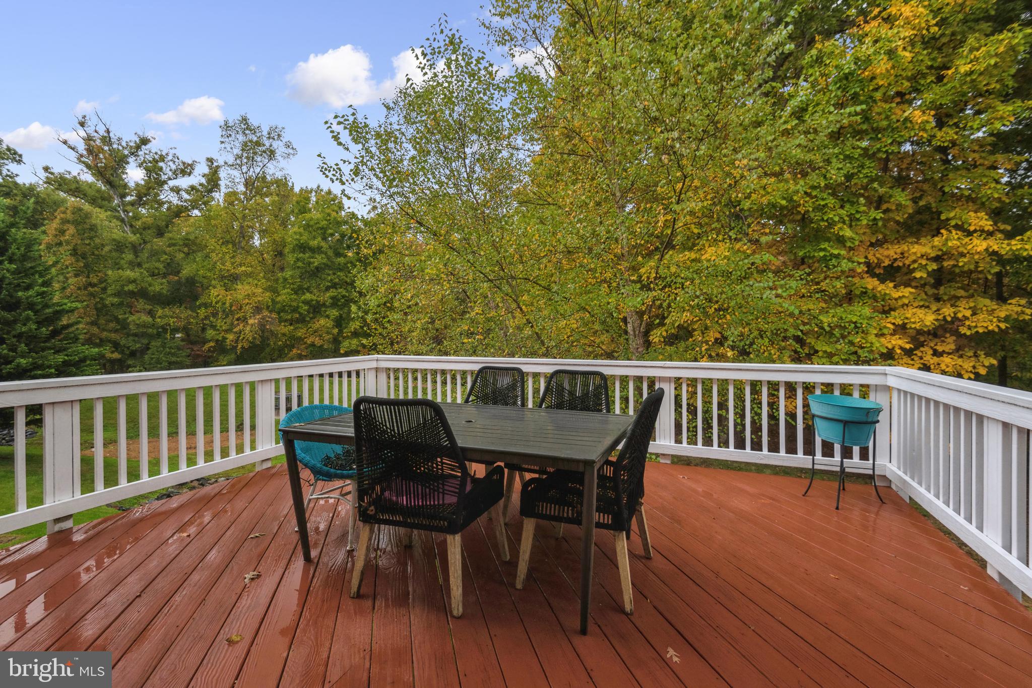 POTOMAC CHASE - Residential