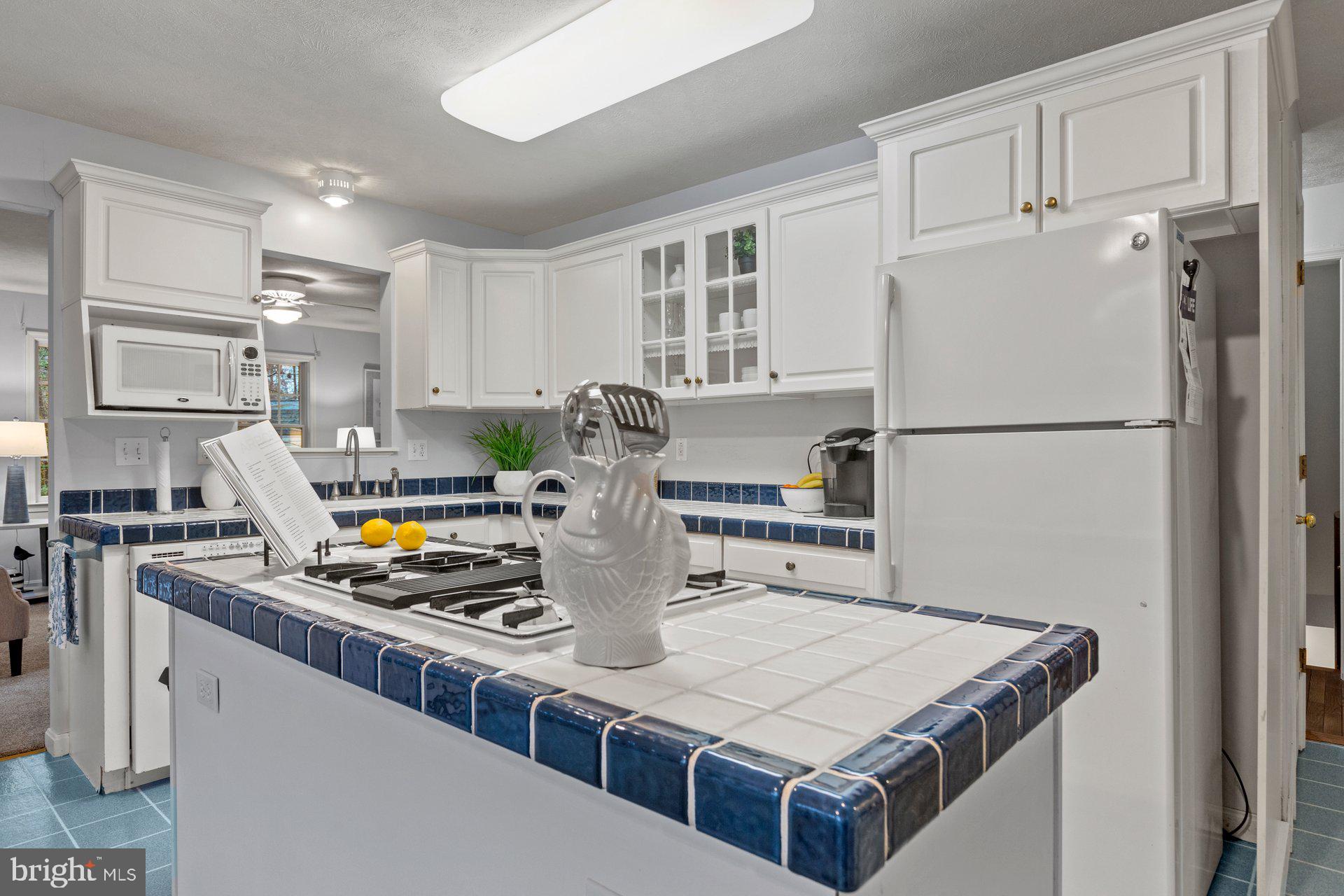 CHESTNUT RIDGE - Residential