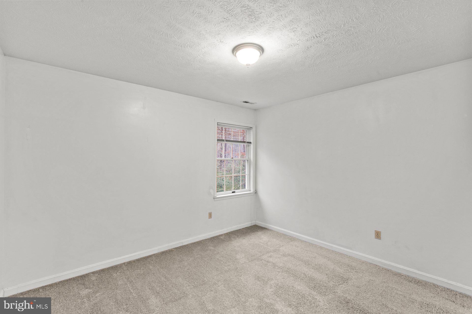 CHESTNUT RIDGE - Residential