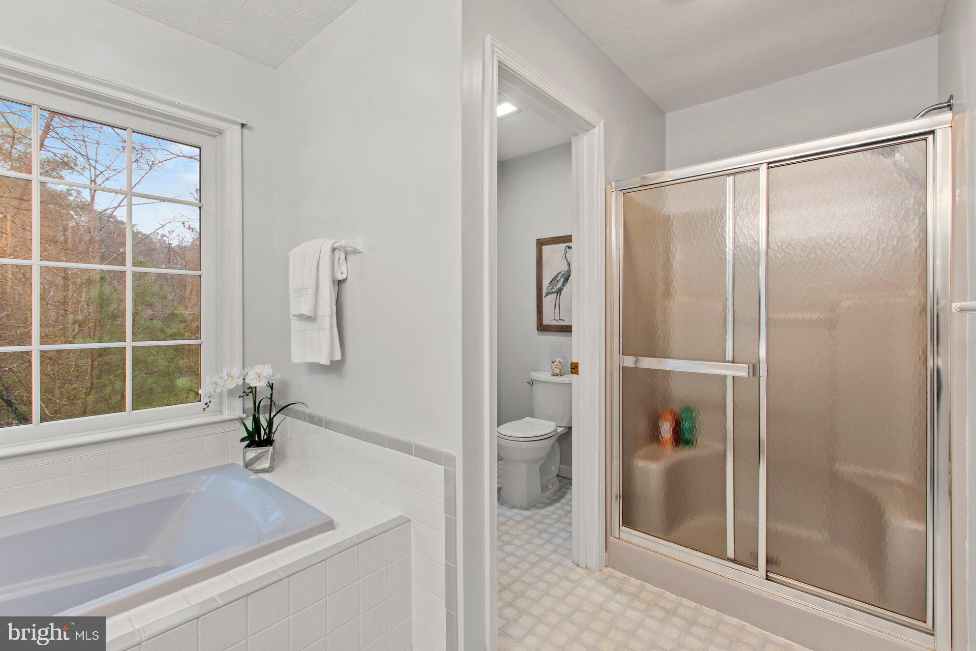 CHESTNUT RIDGE - Residential