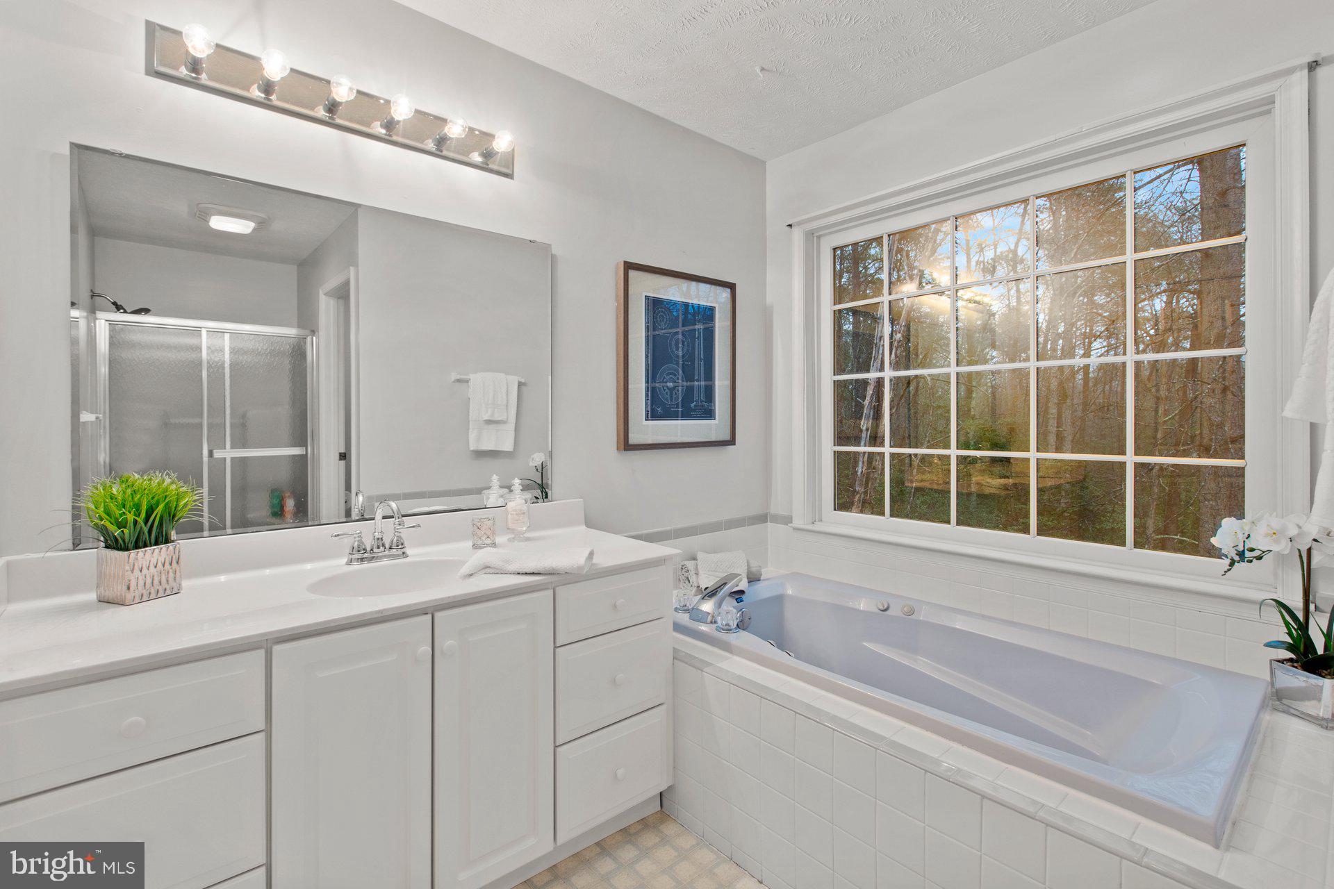 CHESTNUT RIDGE - Residential