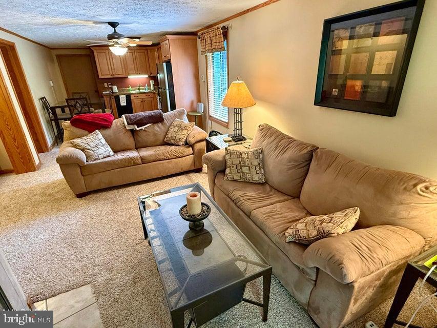 BLUE KNOB ALL SEASONS RESORT - Residential