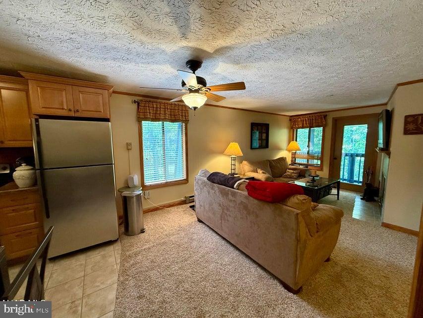 BLUE KNOB ALL SEASONS RESORT - Residential