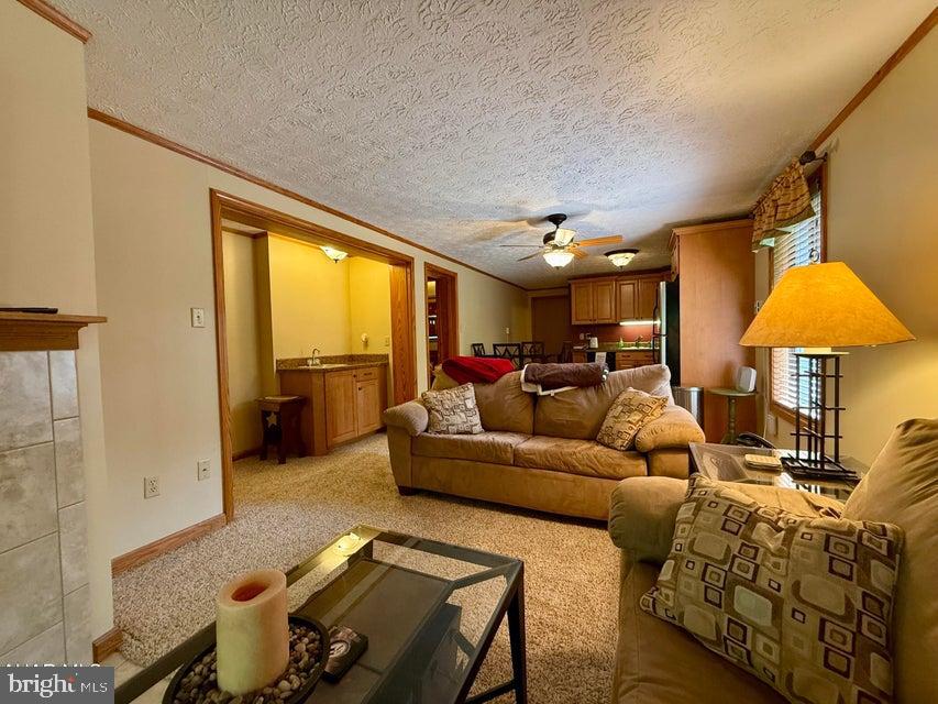 BLUE KNOB ALL SEASONS RESORT - Residential