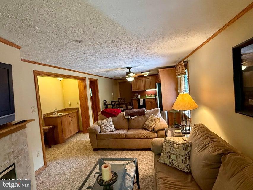 BLUE KNOB ALL SEASONS RESORT - Residential