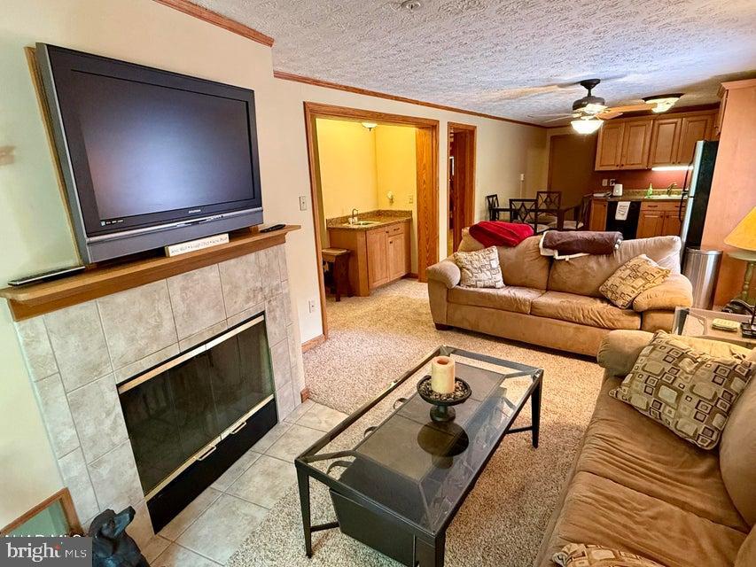 BLUE KNOB ALL SEASONS RESORT - Residential