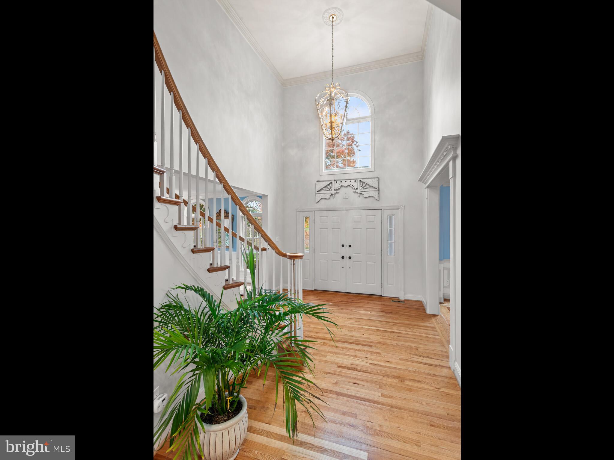 BRANDYWINE RIVER E - Residential