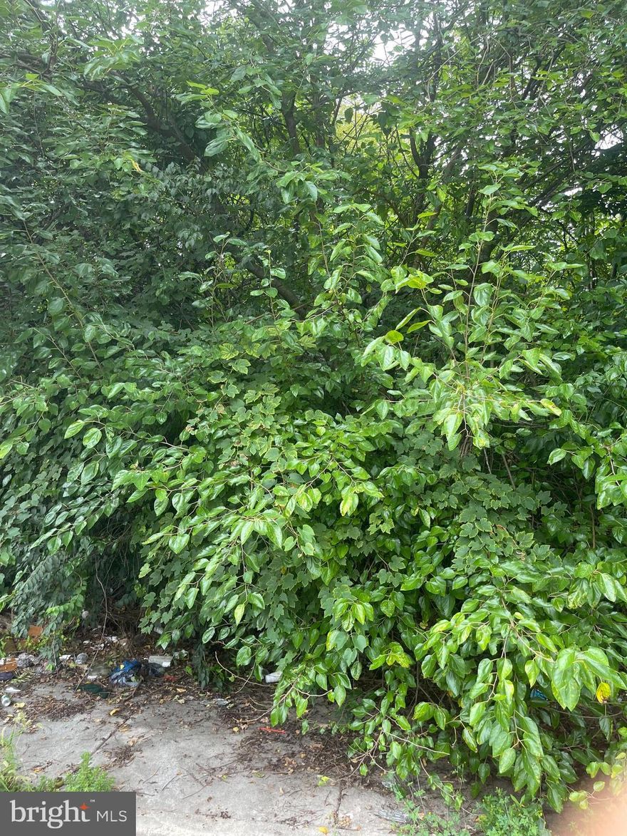 Vacant Lot for Sale  RSA5