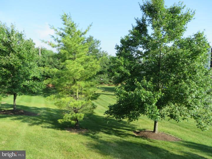 MONTGOMERY GREENE - Residential Lease