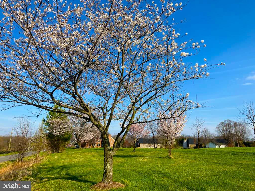 16720 FALCONHURST DRIVE