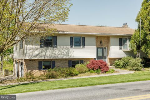 Photo of 518 W Trout Run Road, Ephrata, PA 17522 (MLS # PALA2050298)