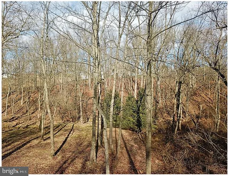 Red Lion, Pennsylvania 17356, United States, ,Land,Active,105595