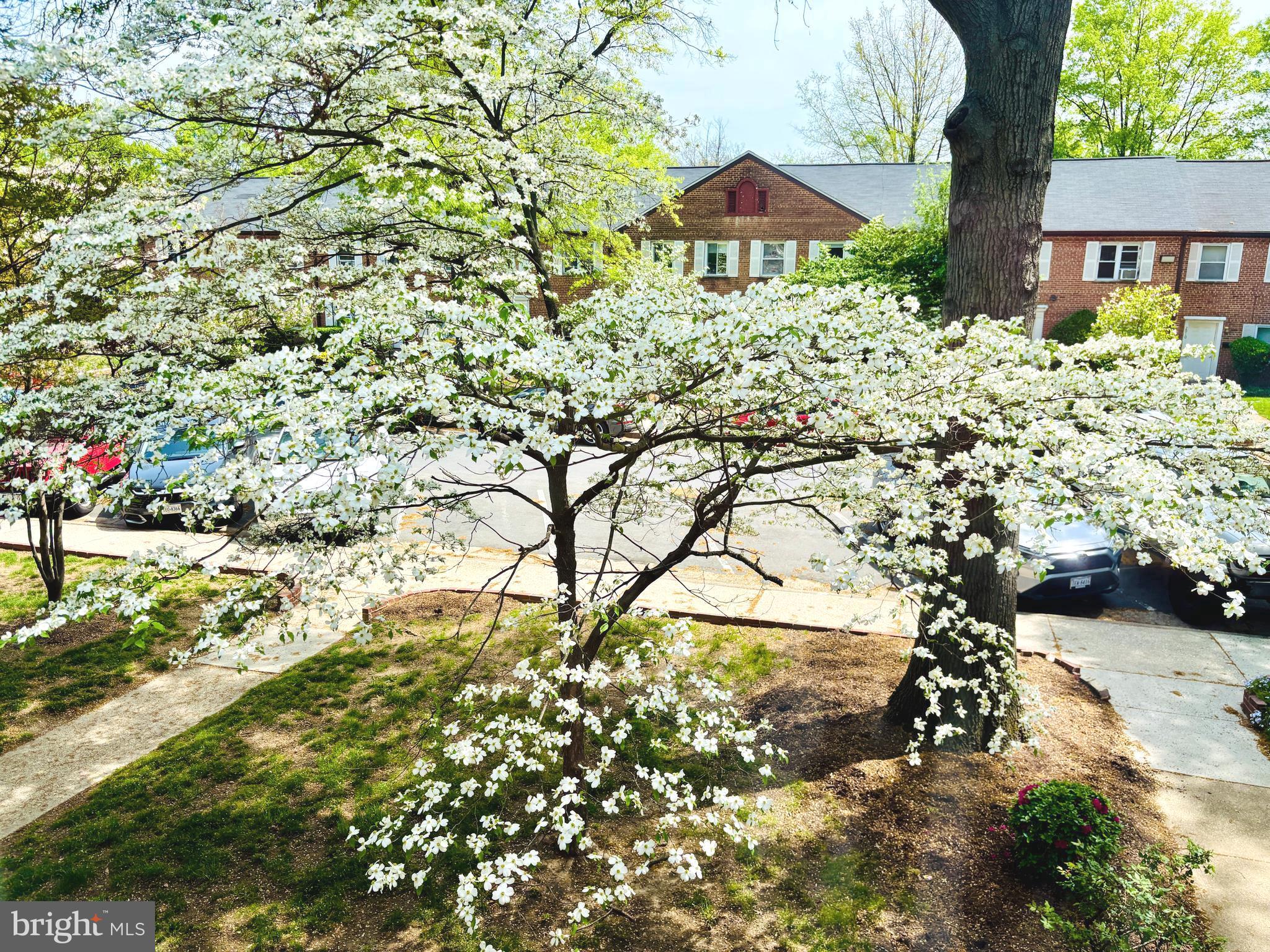 COLUMBIA HEIGHTS - Residential