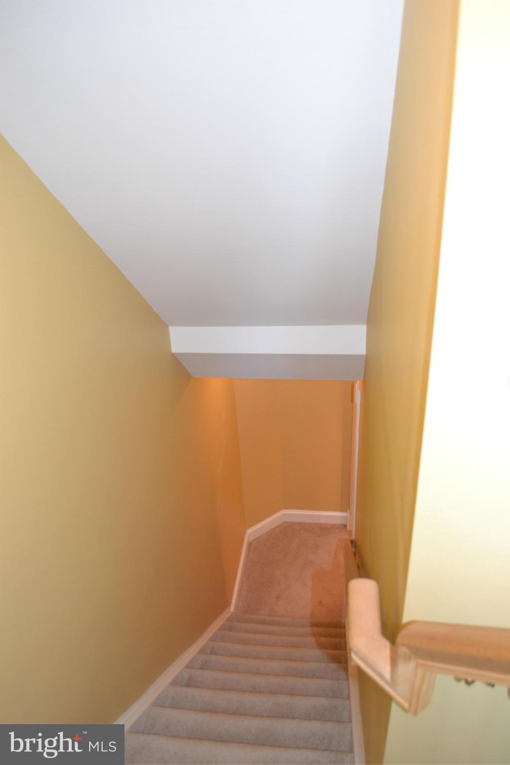 MUSE HILL - Residential