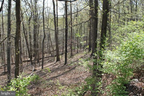 Vacant Land For Sale - Hillandale Road<br/> Warren County, FRONT ROYAL, VA 22630