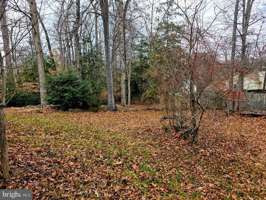 PISCATAWAY ESTATES - Residential