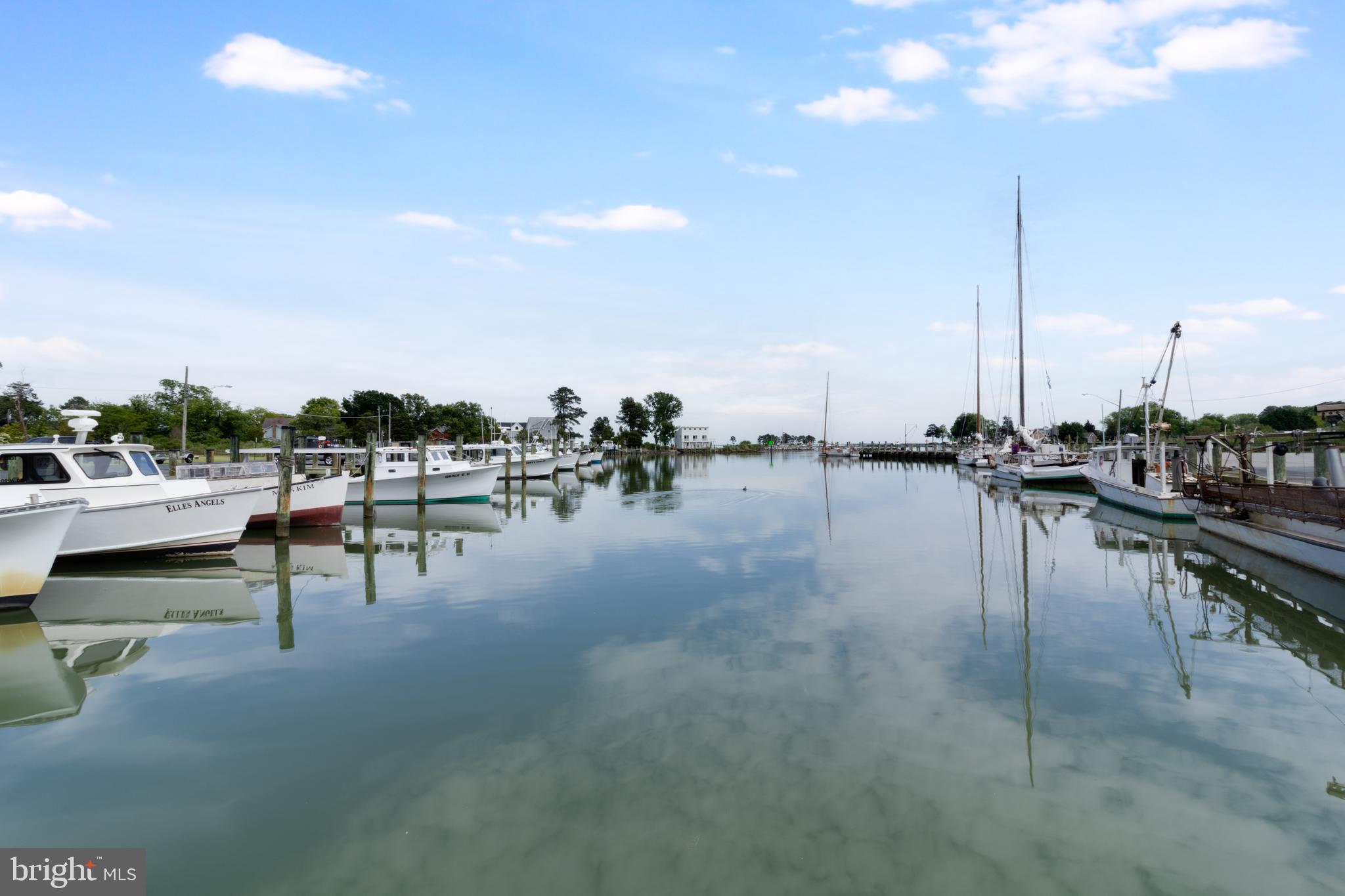 PAW PAW COVE - Residential