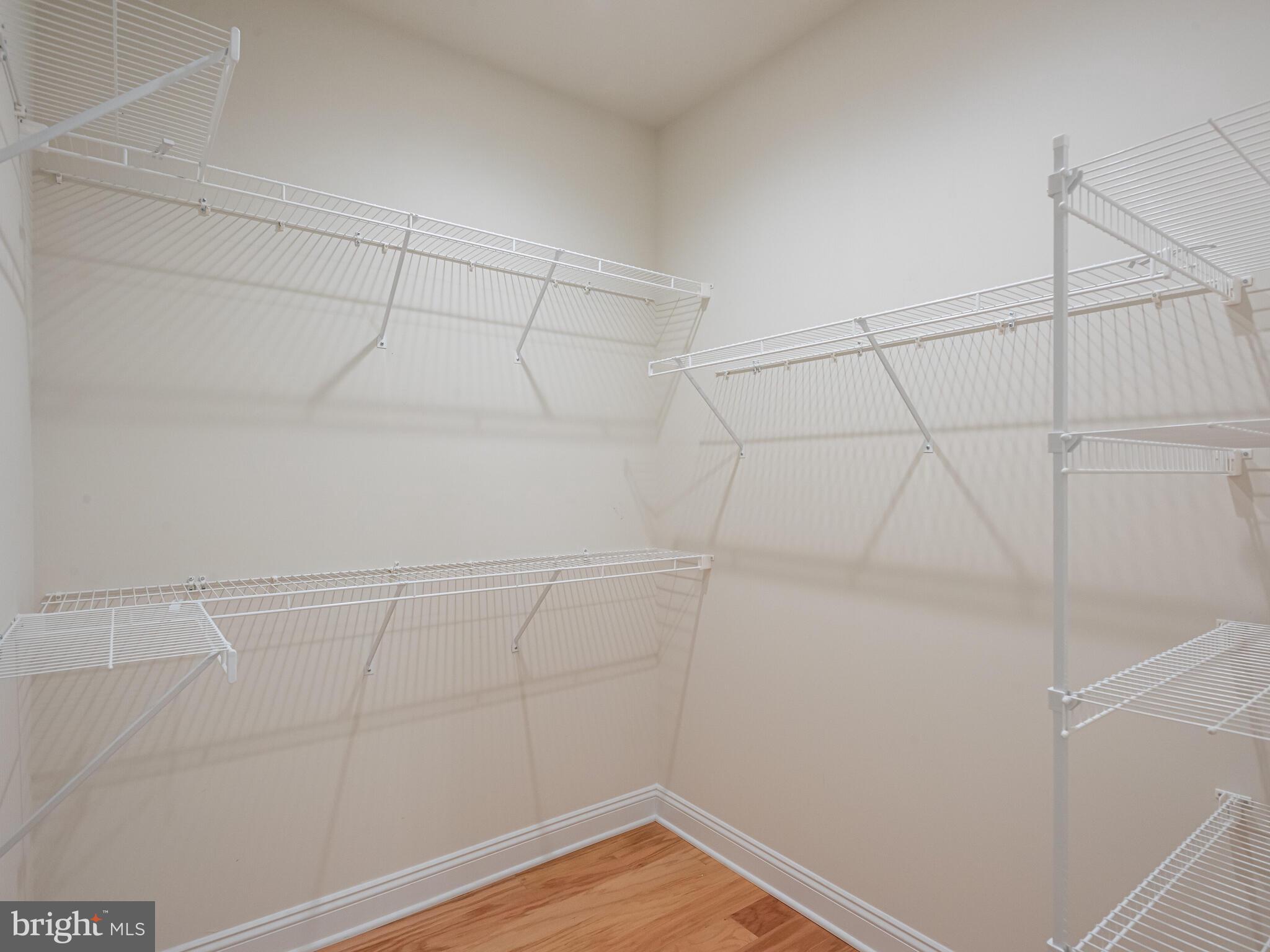 WILLISTOWN POINT - Residential