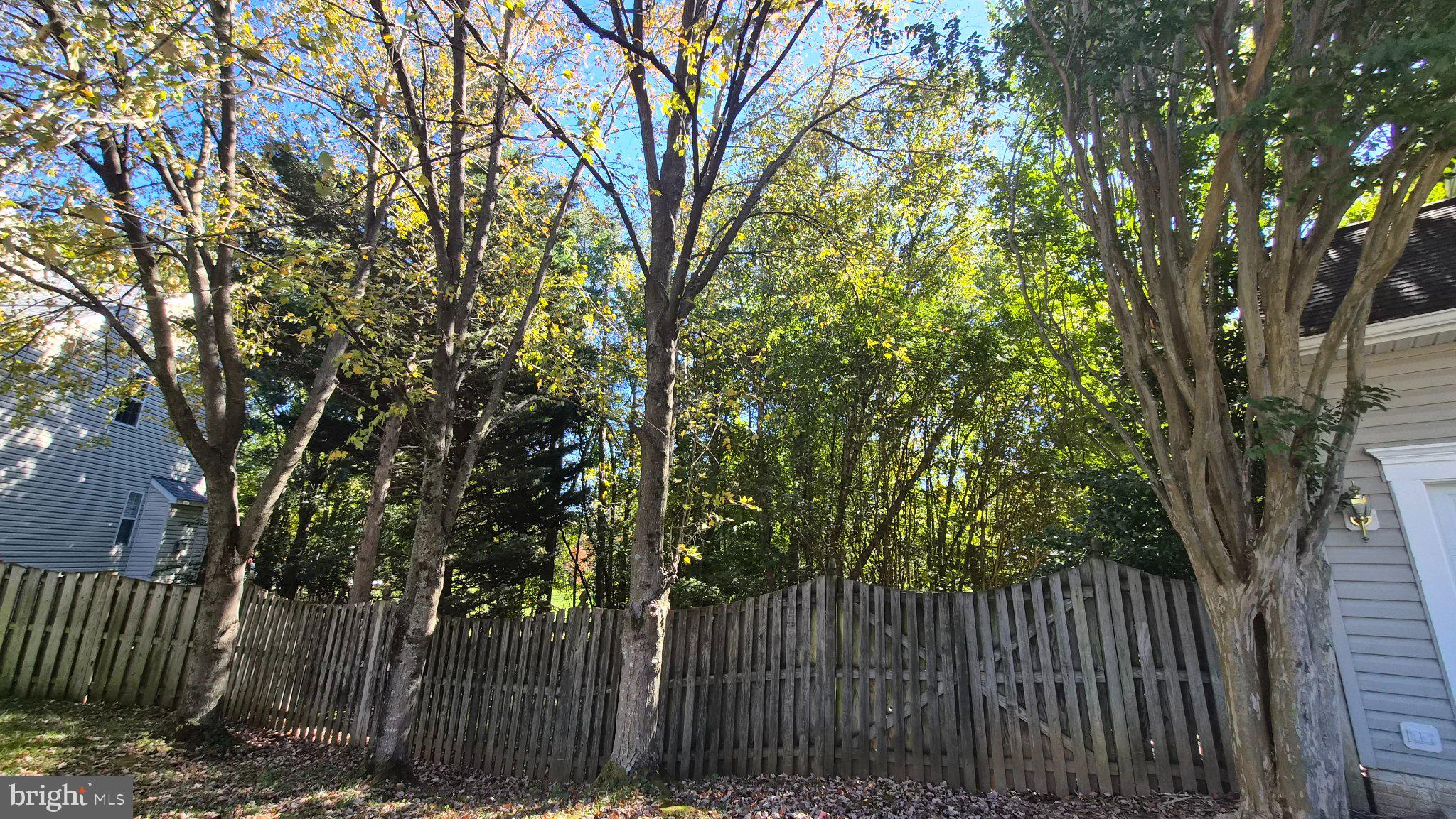 16 CANDLERIDGE COURT